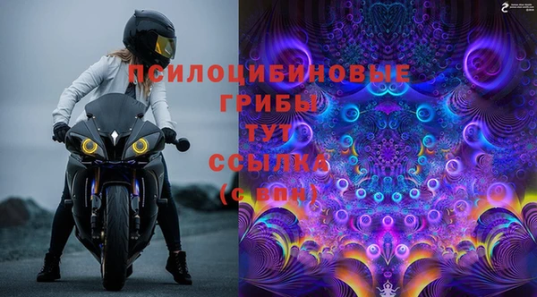 PSILOCYBIN Михайлов