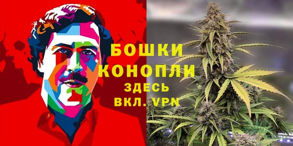 PSILOCYBIN Михайлов