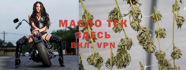 PSILOCYBIN Михайлов