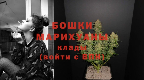 PSILOCYBIN Михайлов